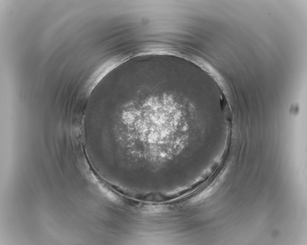 X0000093091385200710241152
