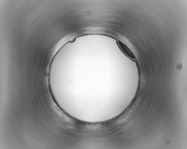 X0000093091386200710241152