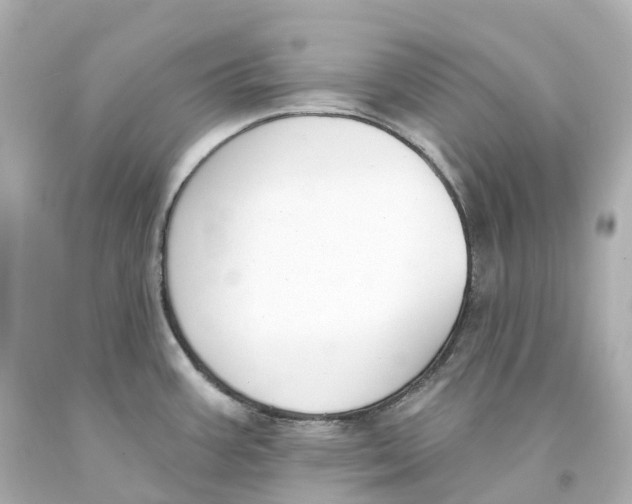 X0000093091387200710241152