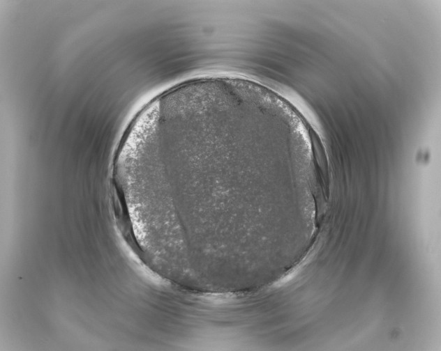 X0000093091388200710241152