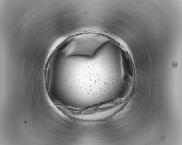 X0000093091389200710241152