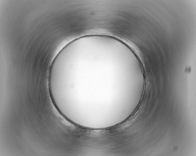 X0000093091390200710241152