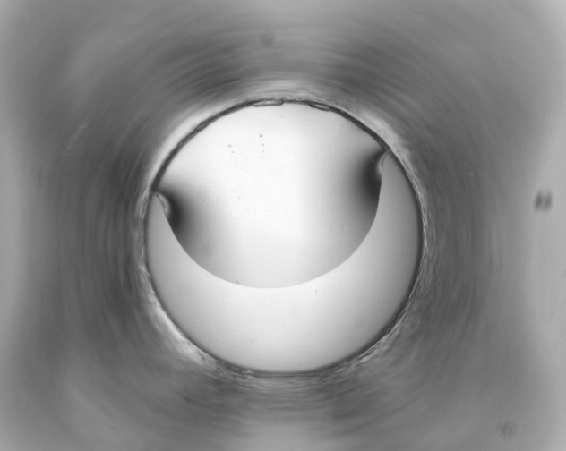 X0000093091392200710241152