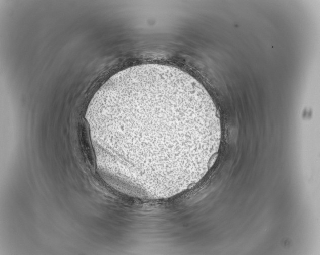 X0000093091393200710241151