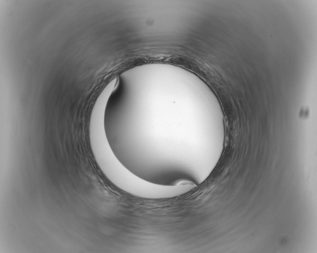 X0000093091394200710241151