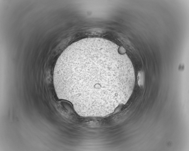 X0000093091395200710241151