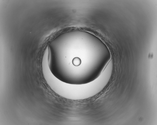 X0000093091398200710241151