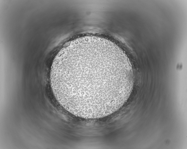 X0000093091399200710241151