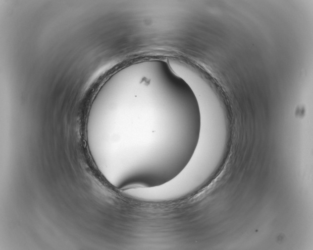 X0000093091402200710241151