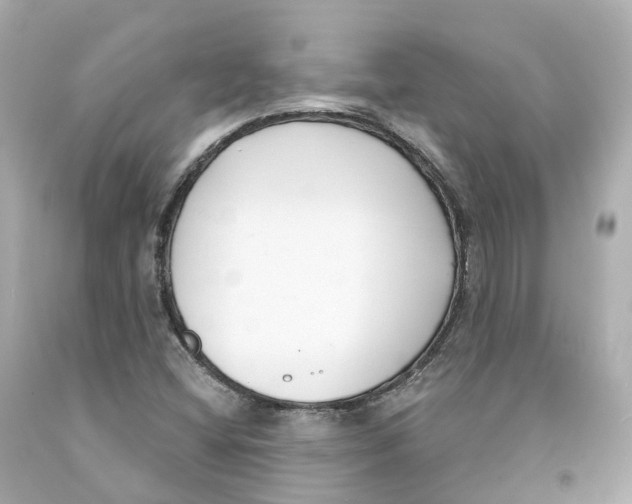 X0000093091404200710241151