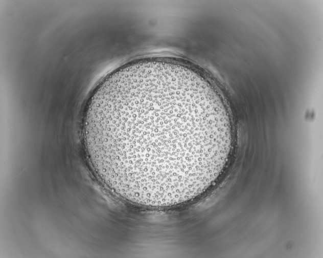 X0000093091405200710241151