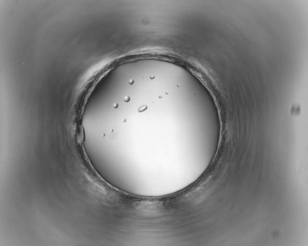 X0000093091406200710241151