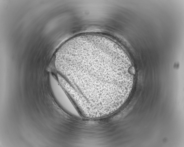 X0000093091409200710241151