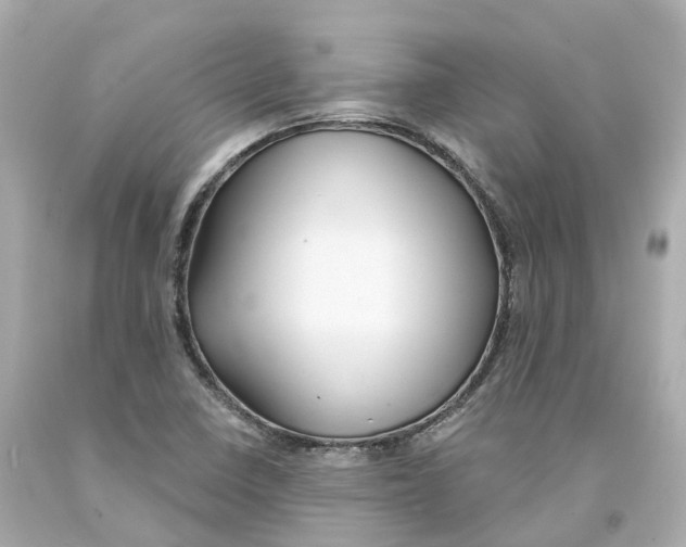 X0000093091410200710241151