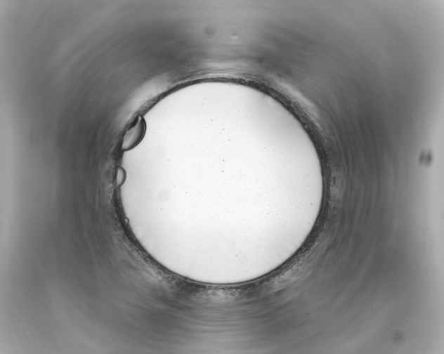 X0000093091411200710241151
