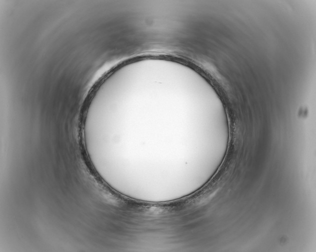 X0000093091412200710241151