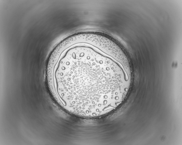X0000093091413200710241151