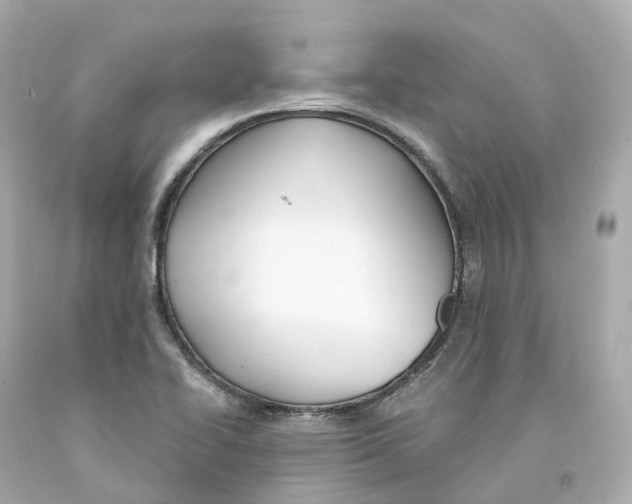 X0000093091414200710241151