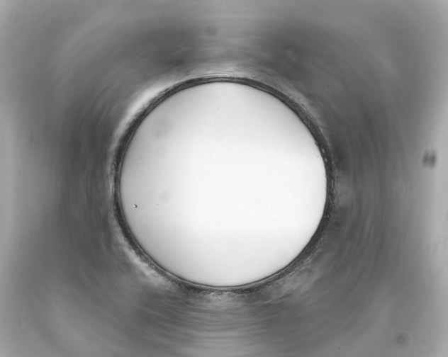 X0000093091416200710241151