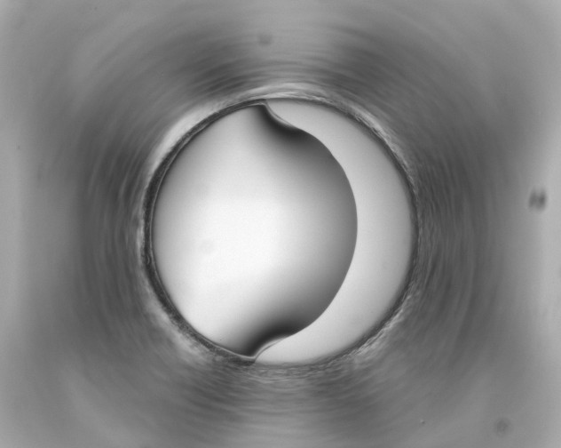 X0000093091418200710241151