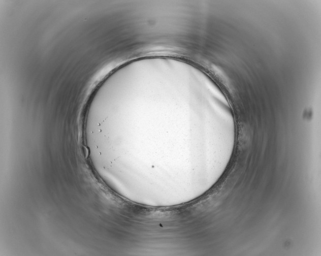 X0000093091419200710241151