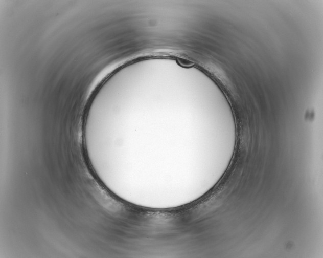 X0000093091420200710241151