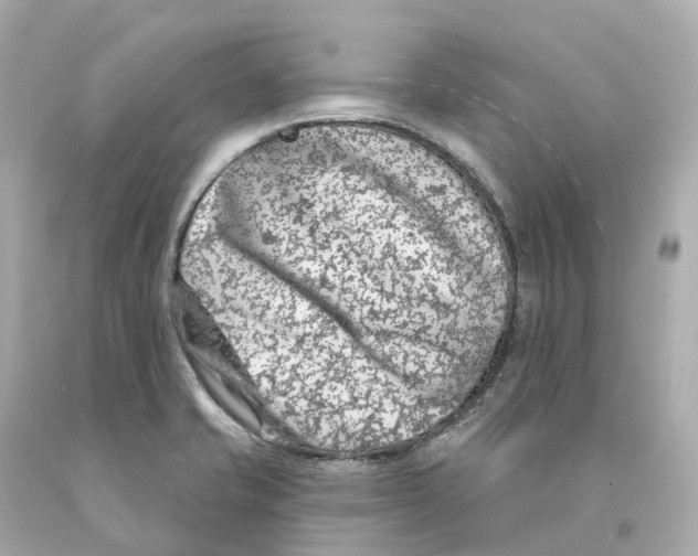 X0000093091421200710241151