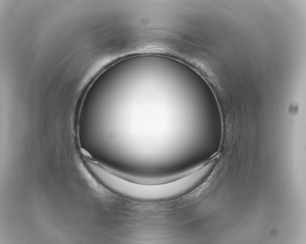 X0000093091422200710241151