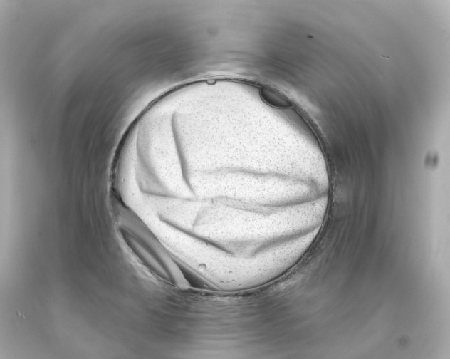 X0000093091423200710241151