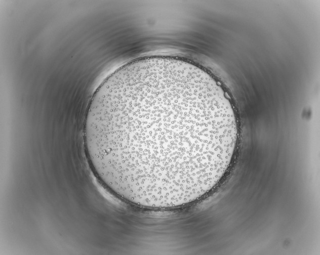 X0000093091425200710241151