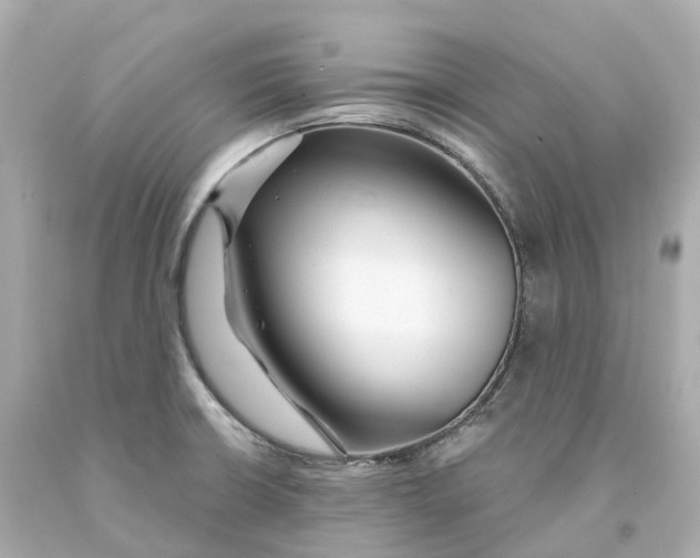 X0000093091426200710241151