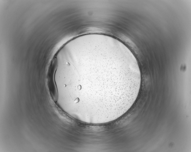 X0000093091427200710241151