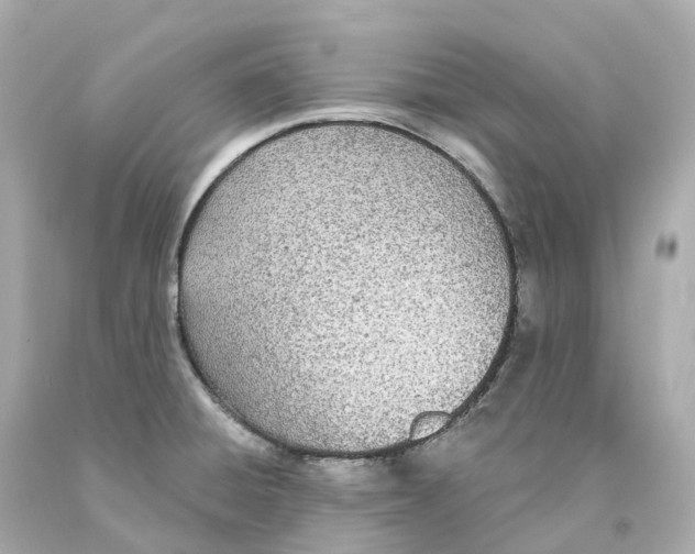 X0000093091428200710241151