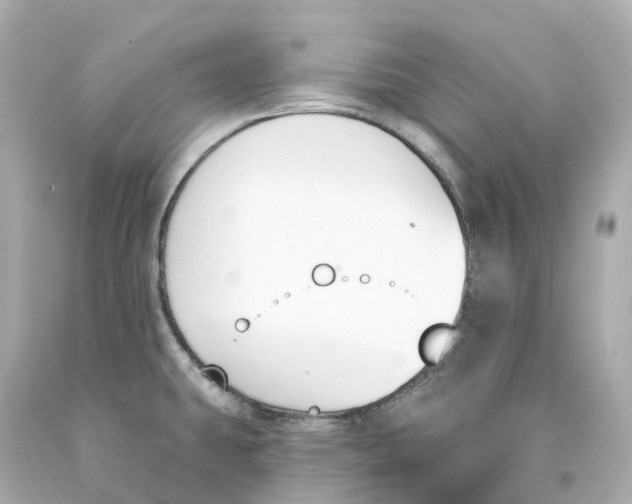X0000093091431200710241151