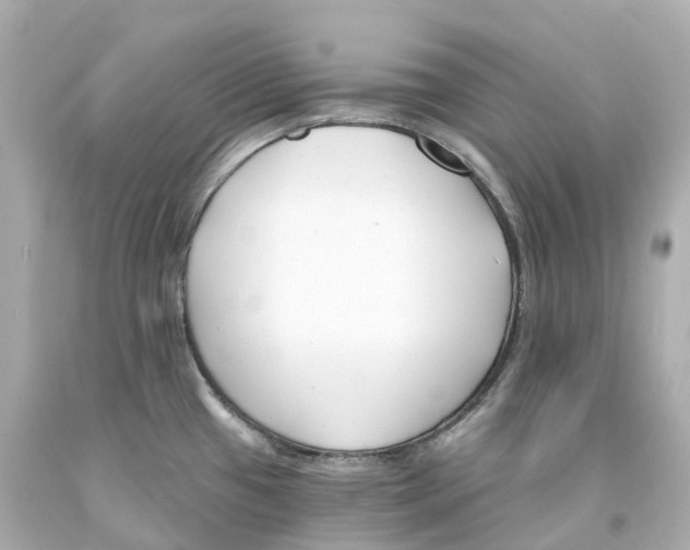X0000093091433200710241151