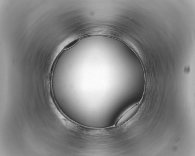 X0000093091434200710241151