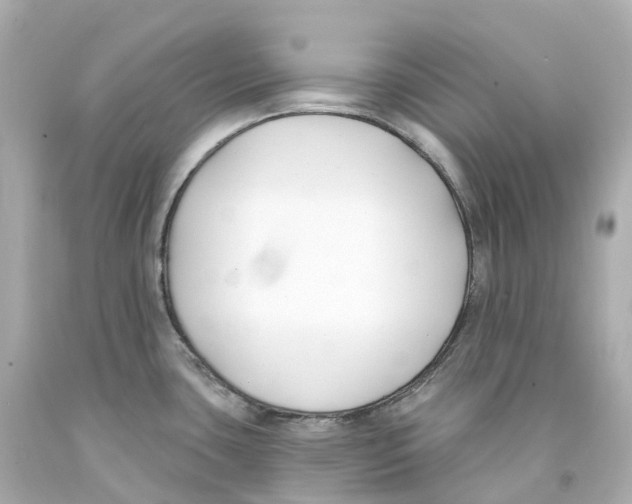 X0000093091435200710241151
