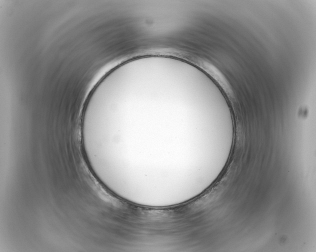 X0000093091436200710241151