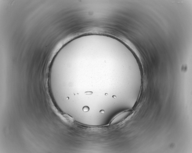 X0000093091437200710241152