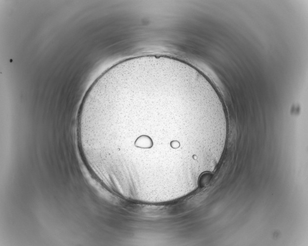 X0000093091439200710241152