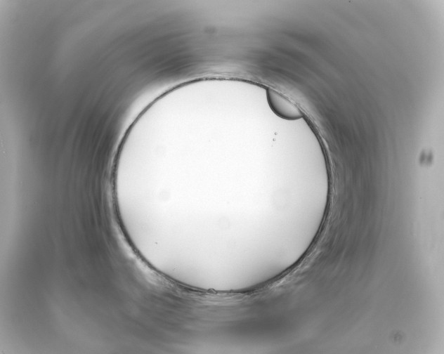 X0000093091440200710241152
