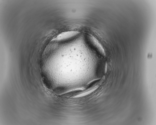 X0000093091441200710241151