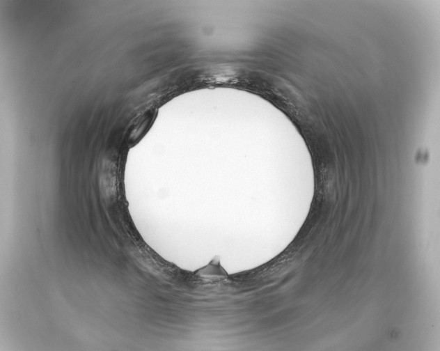 X0000093091442200710241151