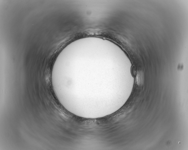 X0000093091444200710241151