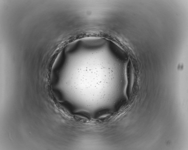 X0000093091445200710241151