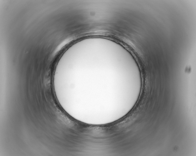 X0000093091450200710241151