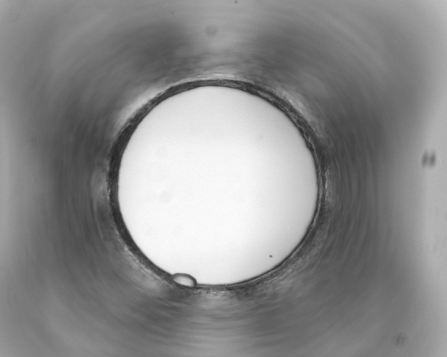 X0000093091452200710241151
