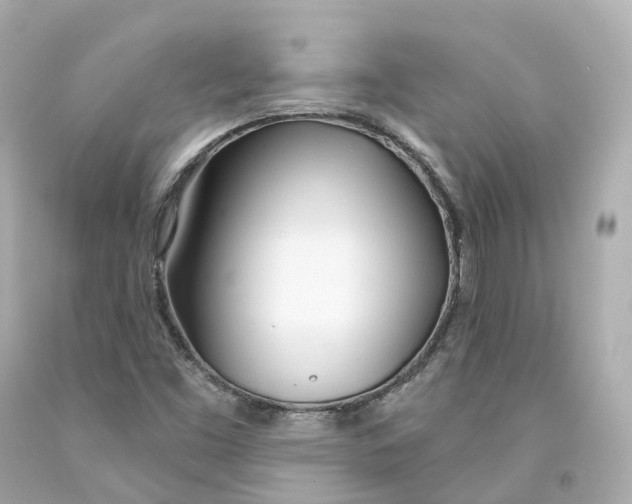 X0000093091453200710241151