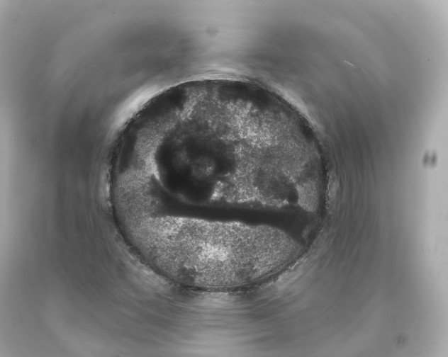 X0000093091455200710241151