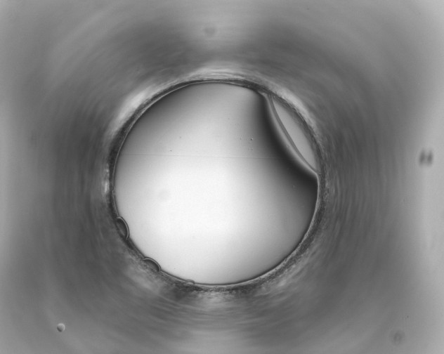 X0000093091461200710241151